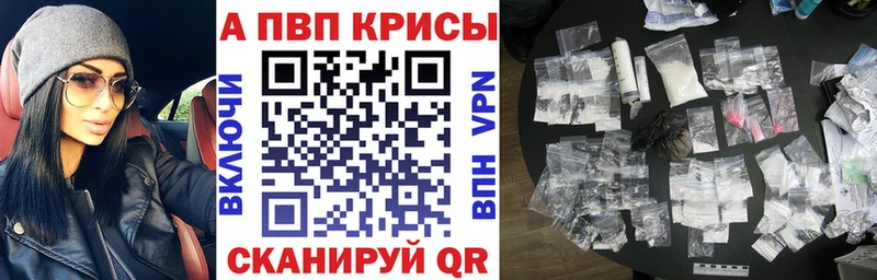 A-PVP СК КРИС Владимир