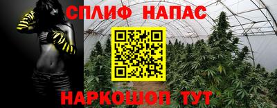 apvp Балашиха