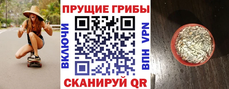 Псилоцибиновые грибы Psilocybe  как найти   Владимир 