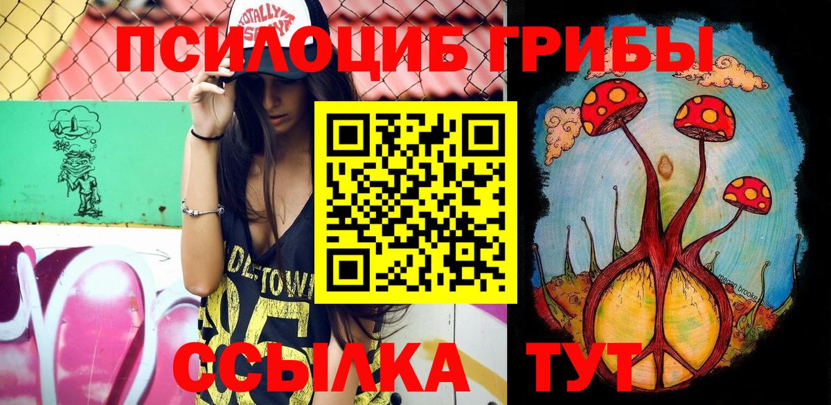 Псилоцибиновые грибы прущие грибы Владимир