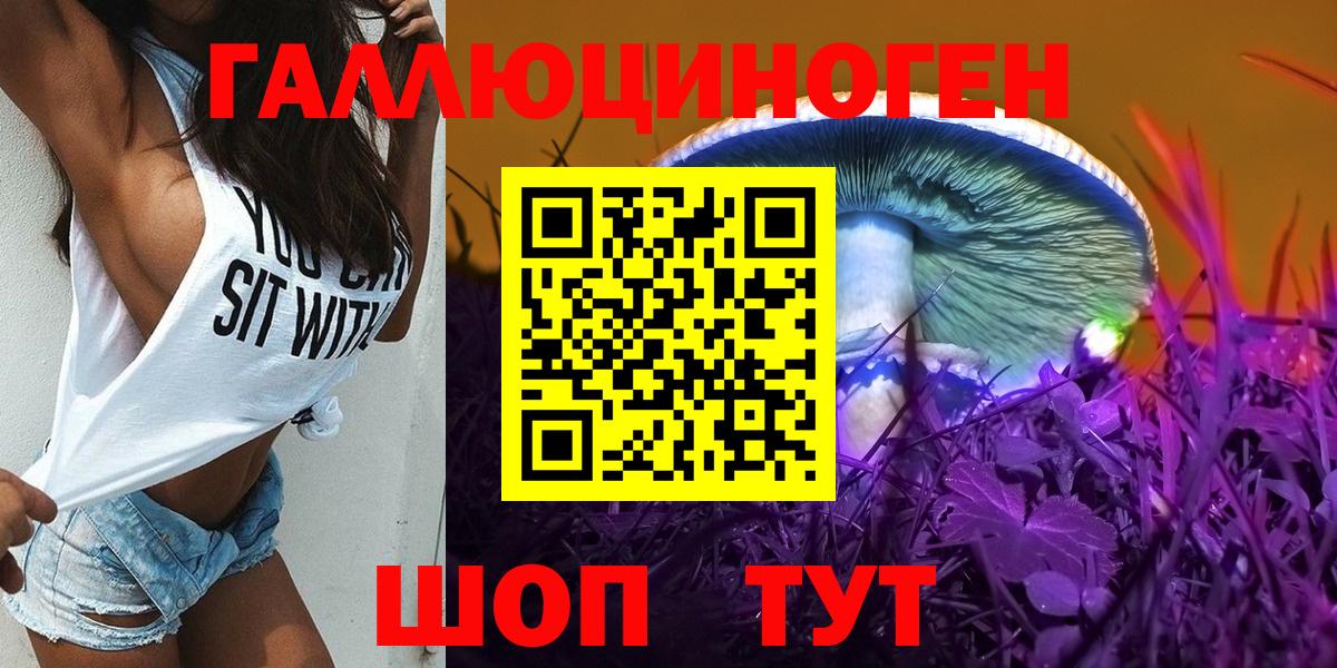 Псилоцибиновые грибы мицелий Владимир