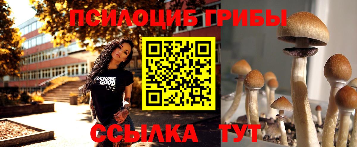 Галлюциногенные грибы Magic Shrooms  хочу   Владимир 